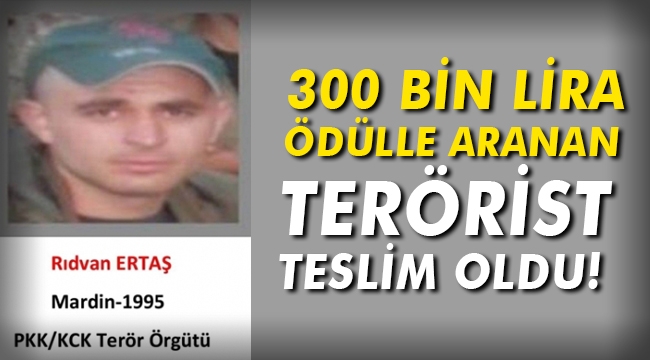 300 bin lira ödülle aranan terörist teslim oldu