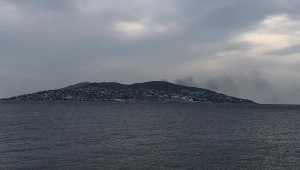 Büyükada'da yangın paniği