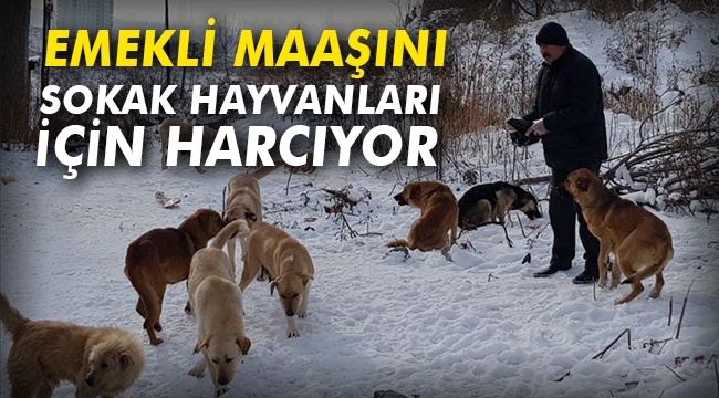 Emekli maaşını sokak hayvanları için harcıyor