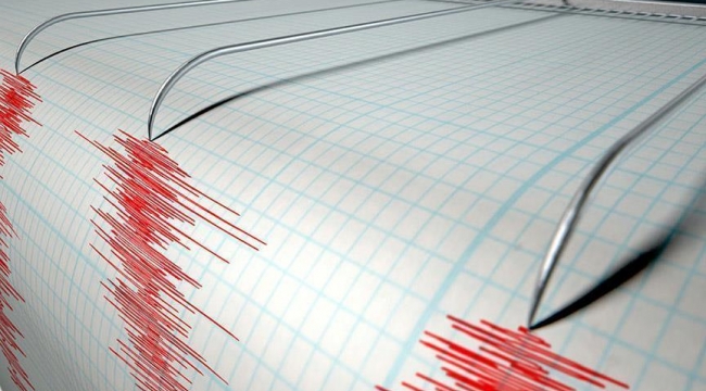 Muğla'da 4,5 büyüklüğünde deprem