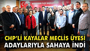 CHP'li Kayalar, Meclis üyesi adaylarıyla sahaya indi