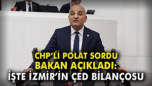 CHP'li Polat sordu, Bakan açıkladı: İşte İzmir'in ÇED bilançosu
