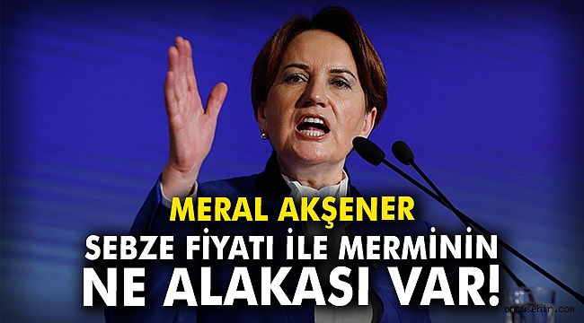 Meral Akşener: Sebzenin fiyatı ile merminin ne alakası var?