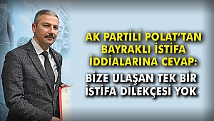 AK Partili Polat: Bize ulaşan tek istifa dilekçesi yok