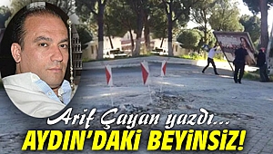 Aydın'daki Beyinsiz!
