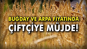 Buğday ve arpa fiyatında çiftçiye müjde!