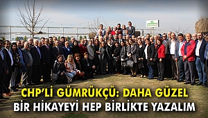 CHP'li Gümrükçü: Daha güzel bir hikayeyi birlikte yazalım