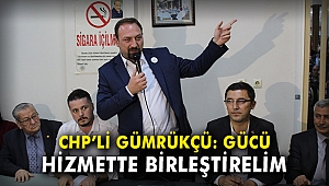 CHP'li Gümrükçü: Gücü hizmette birleştirelim