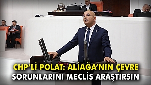 CHP'li Polat: Aliağa'nın çevre sorunlarını Meclis araştırsın