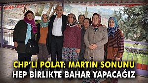 CHP'li Polat: Martın sonunu hep birlikte bahar yapacağız