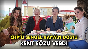 CHP’li Sengel, hayvan dostu kent sözü verdi