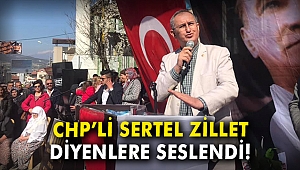 CHP’li Sertel 'Zillet' diyenlere seslendi
