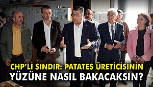 CHP’li Sındır: Patates üreticisinin yüzüne nasıl bakacaksınız?
