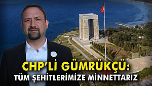 CHP'li Gümrükçü: Tüm şehitlerimize minnettarız