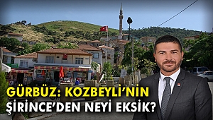 Fatih Gürbüz: Kozbeyli'nin Şirince'den neyi eksik?
