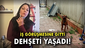 İş görüşmesine gitti! Dehşeti yaşadı