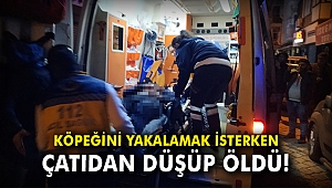 Köpeğini yakalamak isterken çatıdan düşüp öldü