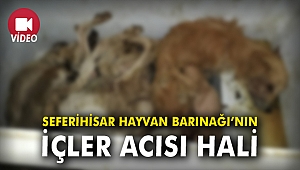 Seferihisar Hayvan Barınağı'nın içler acısı hali