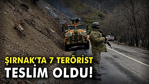 Şırnak'ta 7 terörist teslim oldu