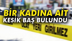 Bir kadına ait kesik baş bulundu