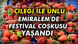 Çileği ile ünlü Emiralem'de festival coşkusu yaşandı