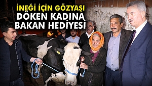 İneği için gözyaşı döken kadına bakan hediyesi