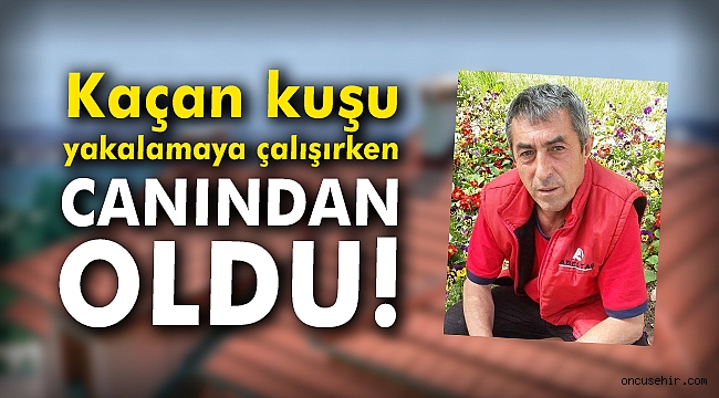 Kafesten kaçan kuşu yakalamaya çalışırken canından oldu!