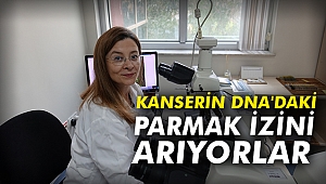 Kanserin DNA'daki parmak izini arıyorlar