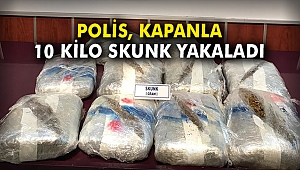 Polis, kapanla 10 kilo skunk yakaladı