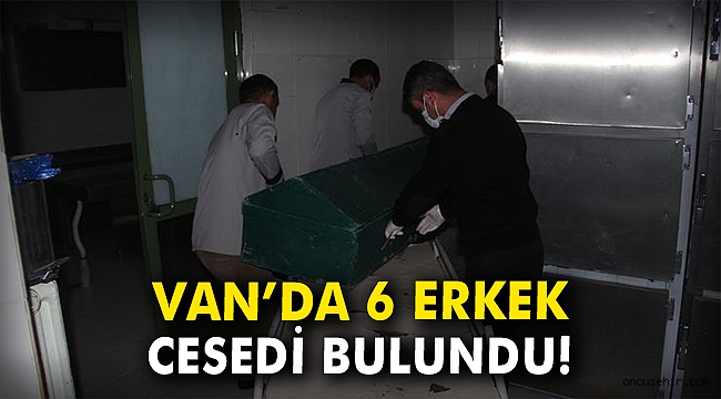 Van'da 6 erkek cesedi bulundu