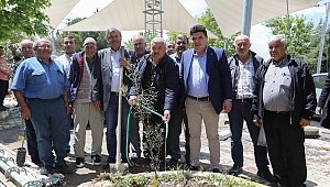 Buca köylerinde zeytin seferberliği