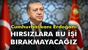 Cumhurbaşkanı Erdoğan: Hırsızlara bu işi bırakmayacağız