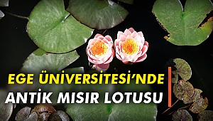 Ege Üniversitesi’nde Antik Mısır Lotusu