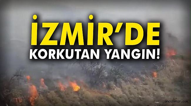İzmir Çiğli'de korkutan yangın!