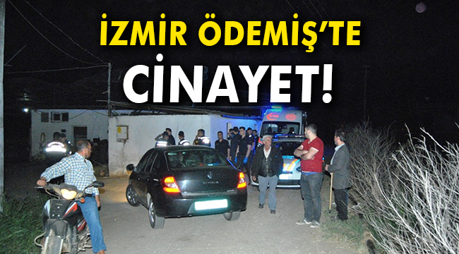 İzmir'de cinayet