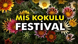 Mis kokulu festival