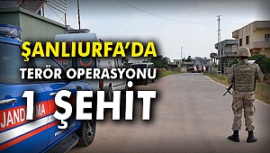 Şanlıurfa’da terör operasyonu: 1 Şehit