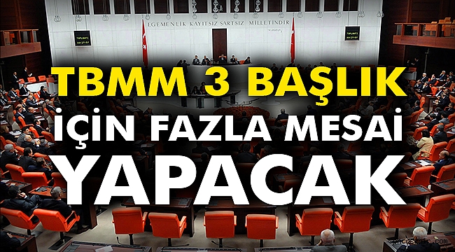 TBMM 3 başlık için fazla mesai yapacak
