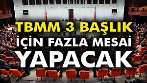 TBMM 3 başlık için fazla mesai yapacak