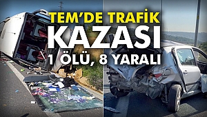 TEM’de trafik kazası: 1 ölü, 8 yaralı