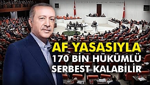Af Yasasıyla 170 bin hükümlü serbest kalabilir