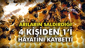 Arıların Saldırdığı 4 kişiden 1’i hayatını kaybetti