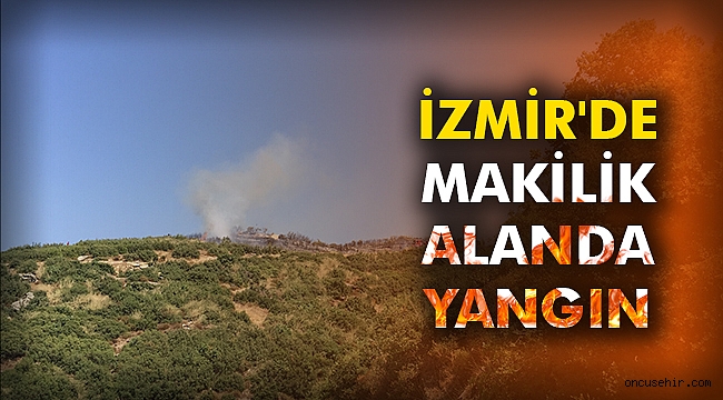 İzmir'de makilik alanda yangın