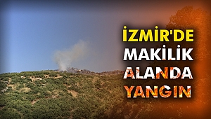 İzmir'de makilik alanda yangın