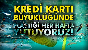 Kredi kartı büyüklüğünde plastiği her hafta yutuyoruz!
