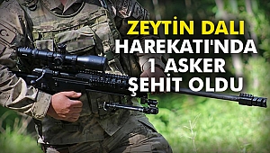Zeytin Dalı Harekatı'nda 1 asker şehit oldu