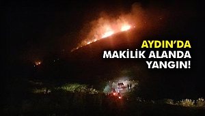 Aydın'da makilik alanda yangın!
