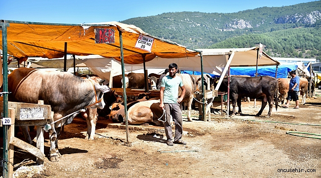 Bornova Belediyesi'nden modern ve hijyenik koşullarda kurban hizmeti