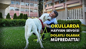 Dolaylı olarak müfredatta!