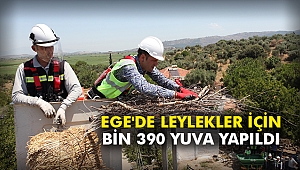 Ege'de leylekler için bin 390 yuva yapıldı